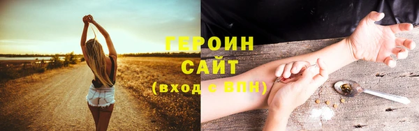 прущие грибы Лабытнанги