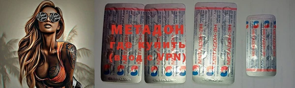 прущие грибы Лабытнанги
