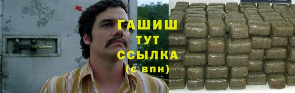 прущие грибы Лабытнанги