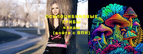 первитин Лагань