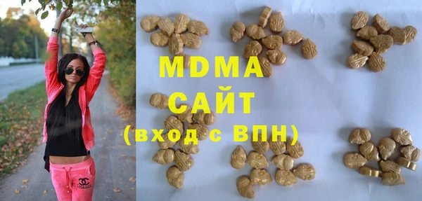 прущие грибы Лабытнанги