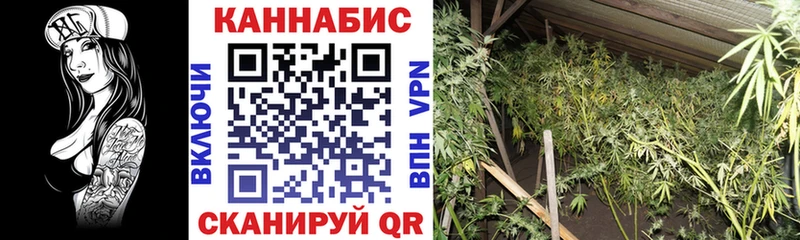 Марихуана THC 21%  Купить где  Барыш 